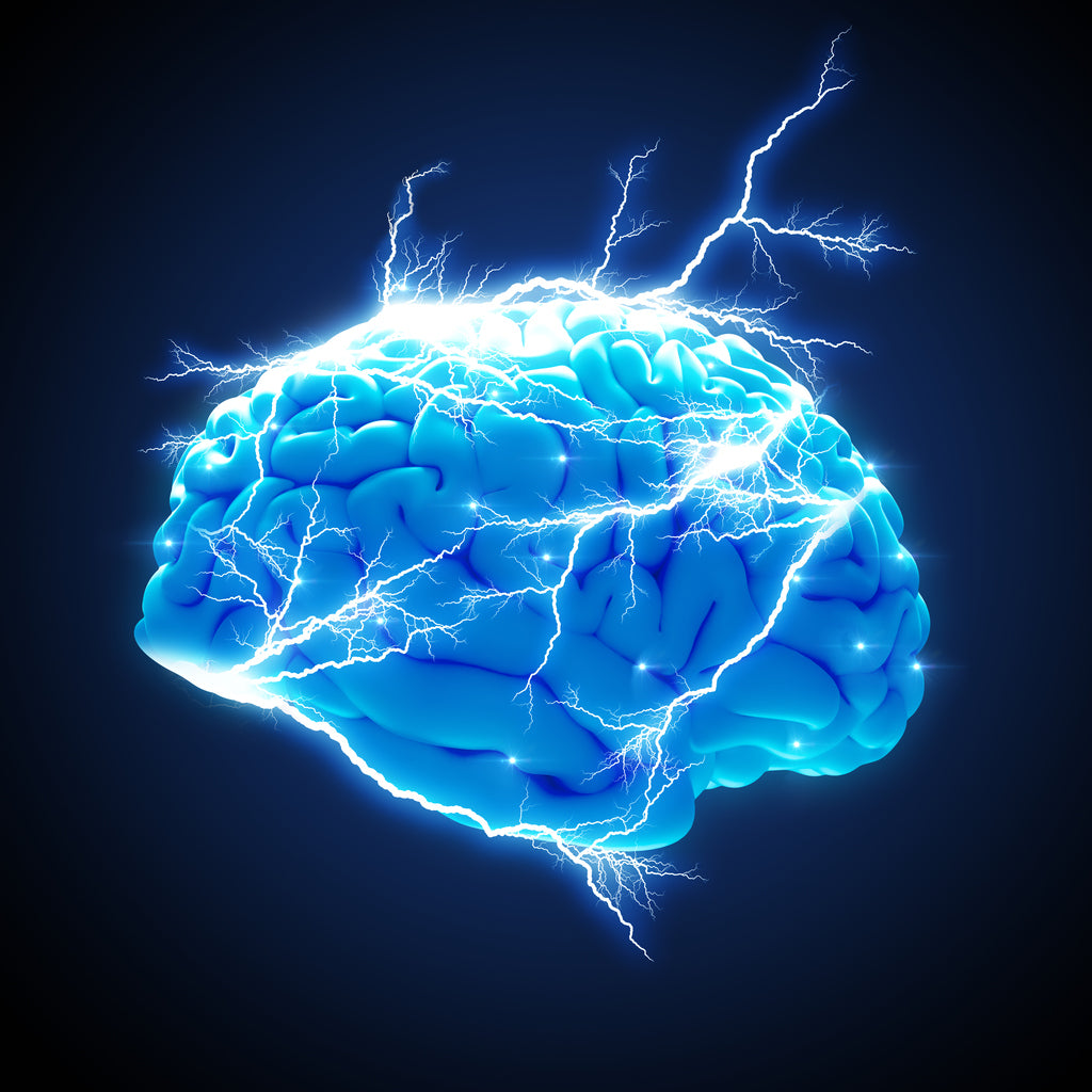The role of neurotransmitters in the brain
