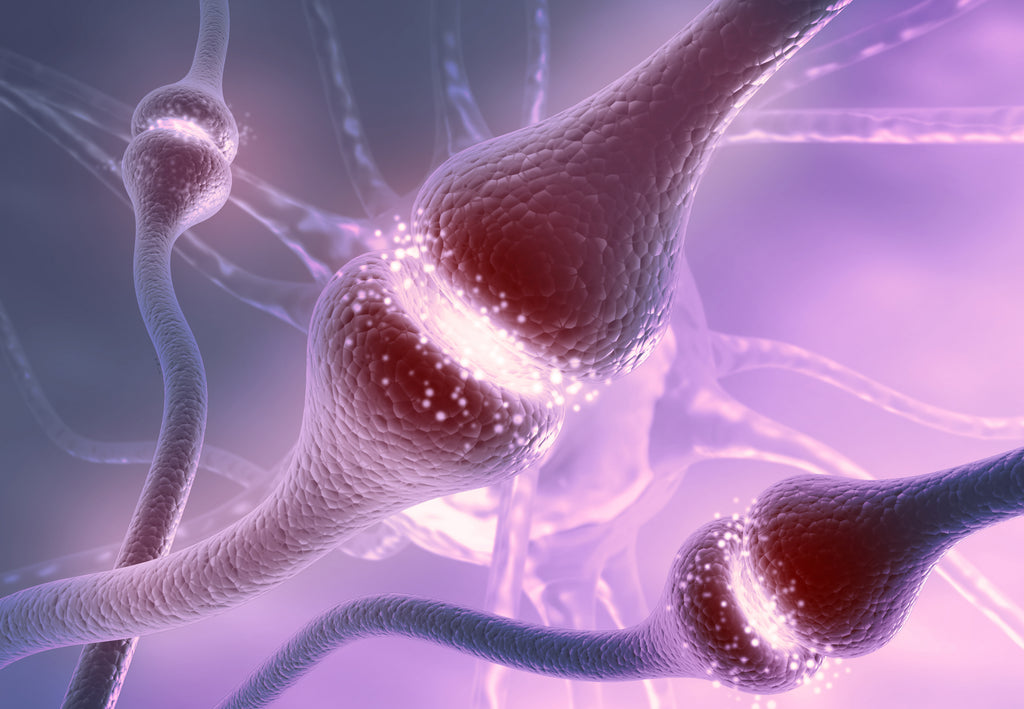 What Can Neurotransmitter Testing Do For You?