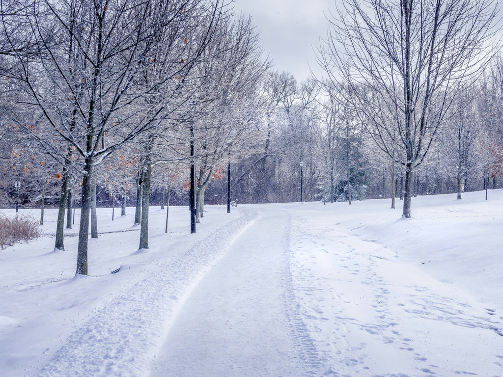Winter Woes: Scoliosis Cold Weather Pain Relief Strategies